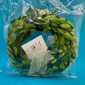Preserved Boxwood 6" Hanging Round Wreath with White Ribbon - Napa Home & Garden